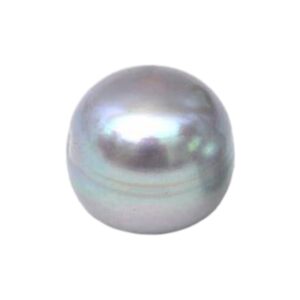 Natuurlijke gecultiveerde half geboorde parel. Grijs Diverse afmetingen