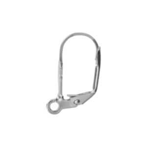 Oorhaakjes RVS Hoogte 19 mm Leverback DQ kwaliteit.