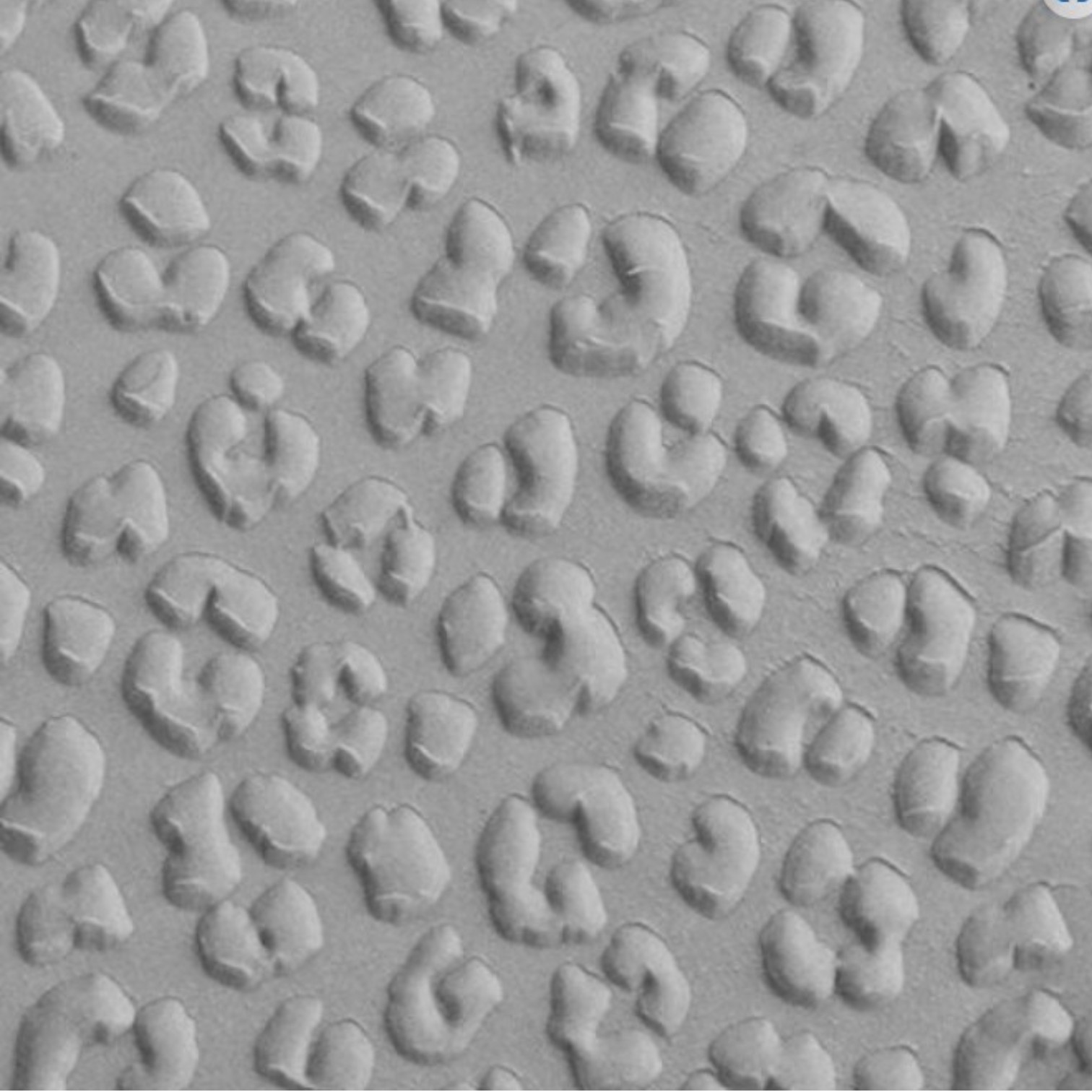 Textuurmat Rubber. ca 5*10 cm Leopard Print Embossed - 885 - Afbeelding 2