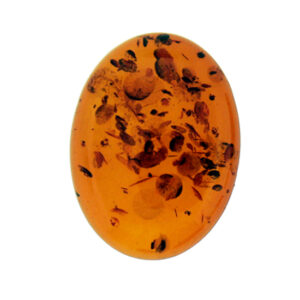 Barnsteen Natuursteen cabochon Ovaal Diverse afmetingen
