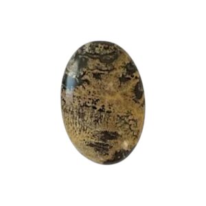 Dendritische Jasper Cabochon natuursteen. Ovaal. 20*30