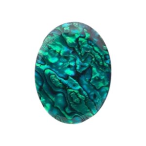 Paua Schelp / Shell cabochon Ovaal. Diverse afmetingen